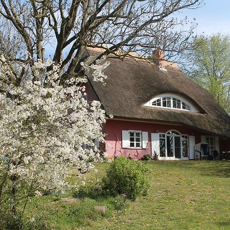 普特布斯Altes Waschhaus Krakvitz公寓 外观 照片