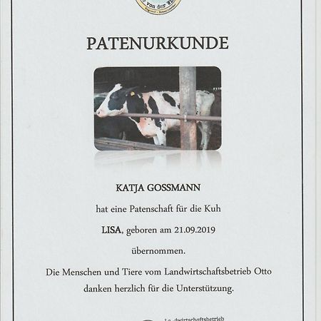 普特布斯Altes Waschhaus Krakvitz公寓 外观 照片