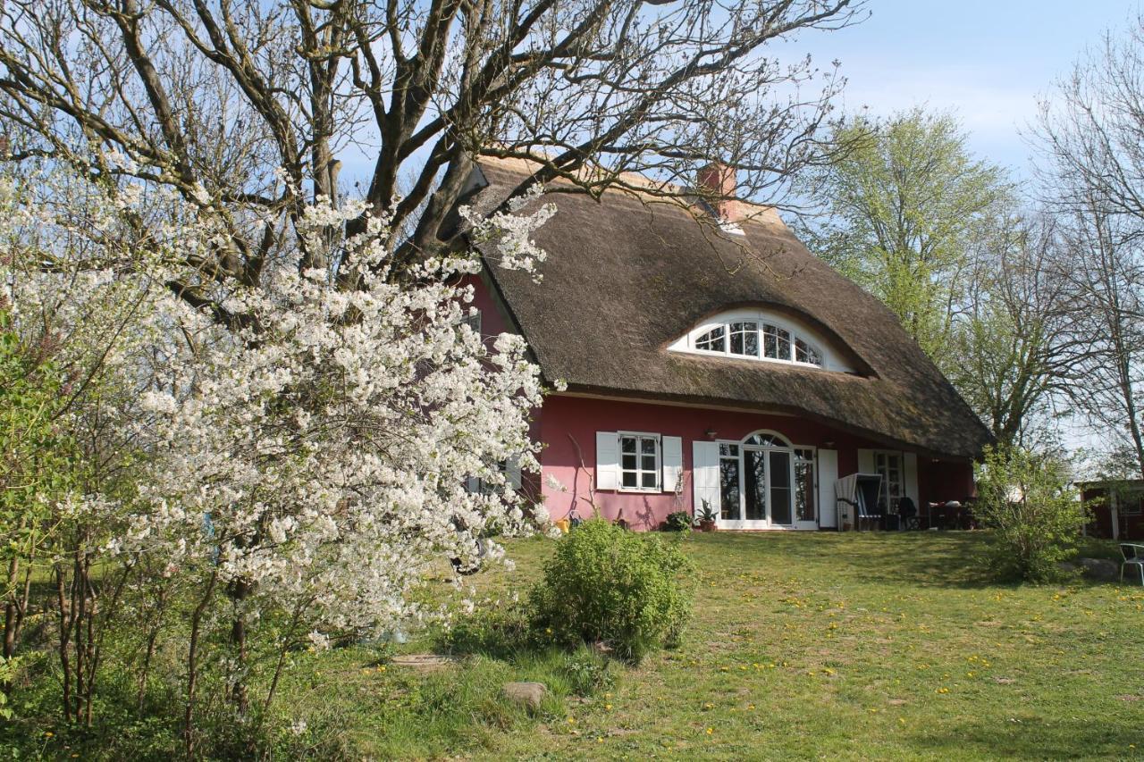 普特布斯Altes Waschhaus Krakvitz公寓 外观 照片